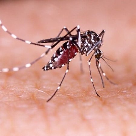 Prevenir el Zika Familia Institucional